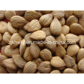 Sweet Almond (youyi 680 PCS / 500g)